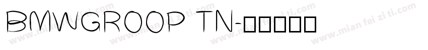 BMWGROOP TN字体转换
